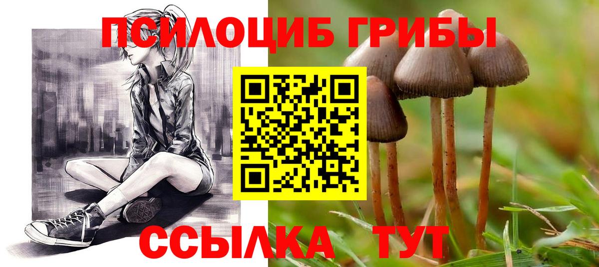 Псилоцибиновые грибы Magic Shrooms Мончегорск