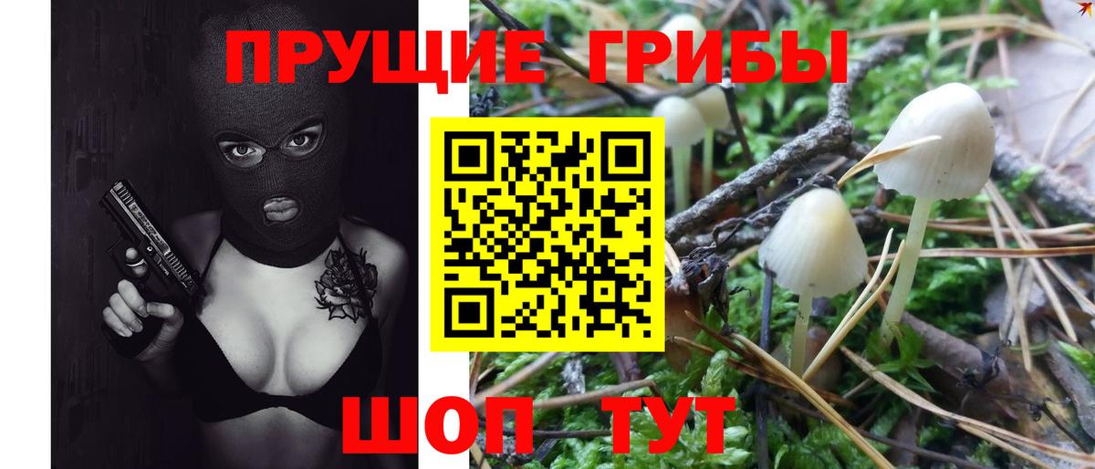 где найти   Псилоцибиновые грибы мухоморы  Вход с VPN  Мончегорск 